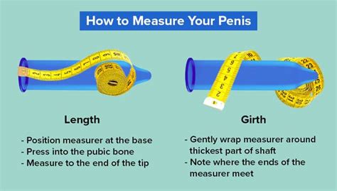 Penis Size FAQs .